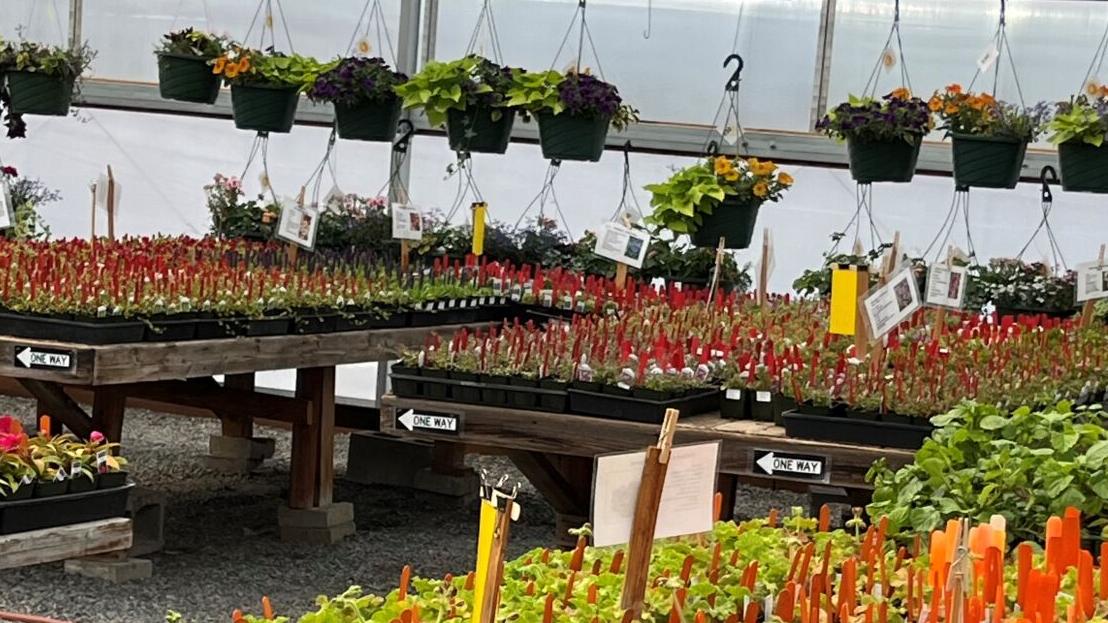 Master Gardener Greenhouse