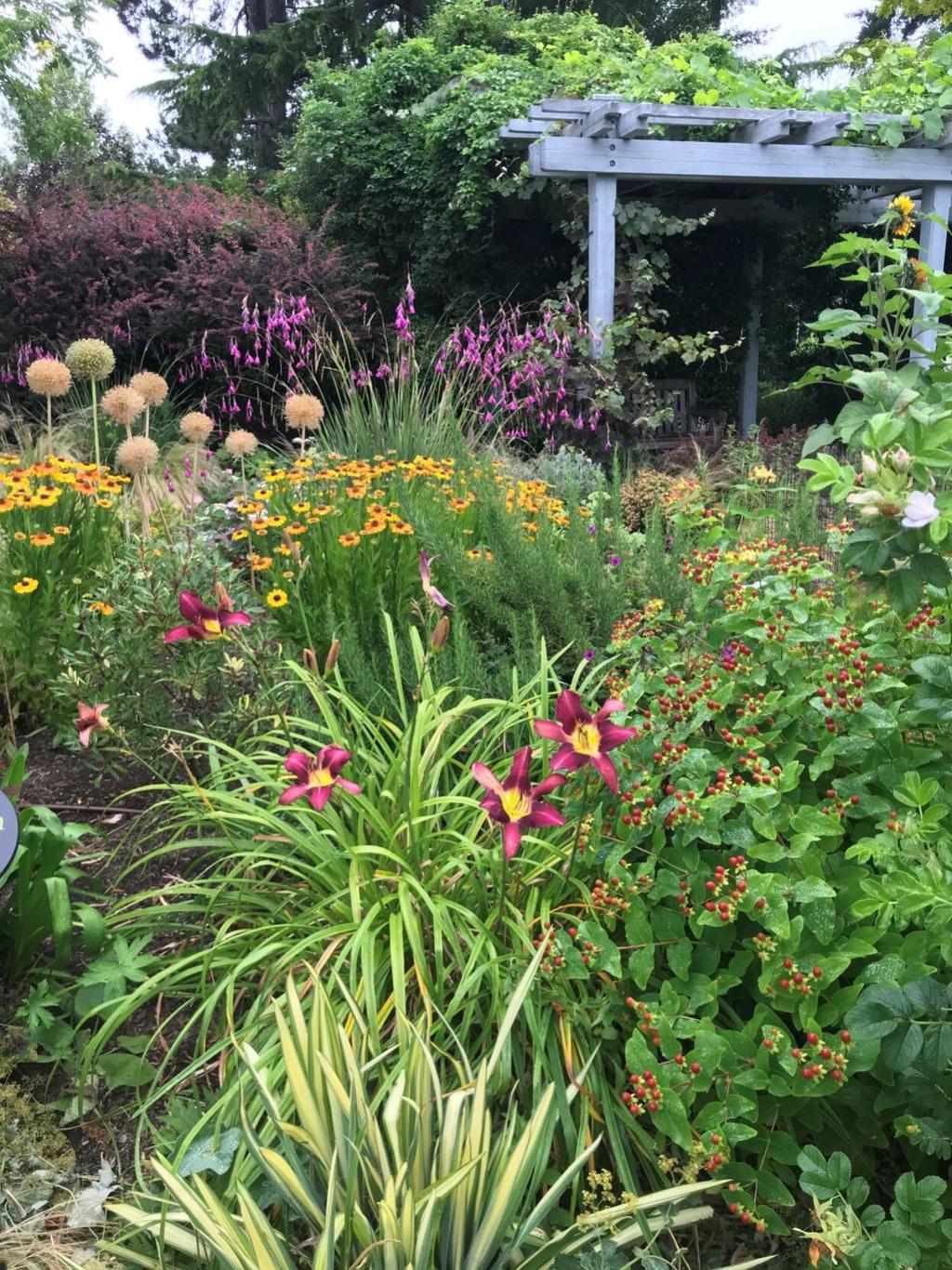 Bellevue Botanical Garden Offers