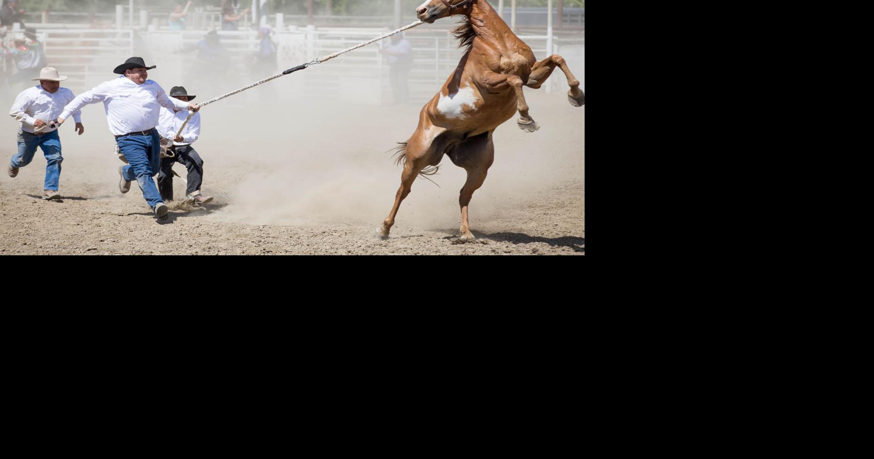 Photos: Yakama Nation Treaty Day Rodeo | News Photos | yakimaherald.com