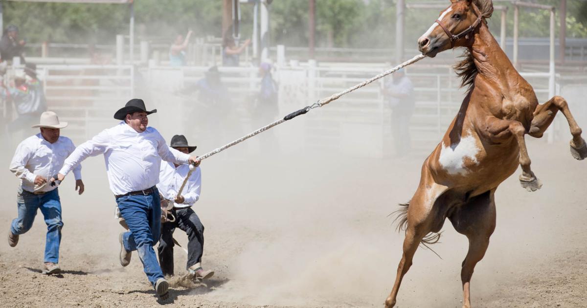 Yakima Rodeo Photos: Yakama Nation Treaty Day Rodeo | News Photos | yakimaherald.com