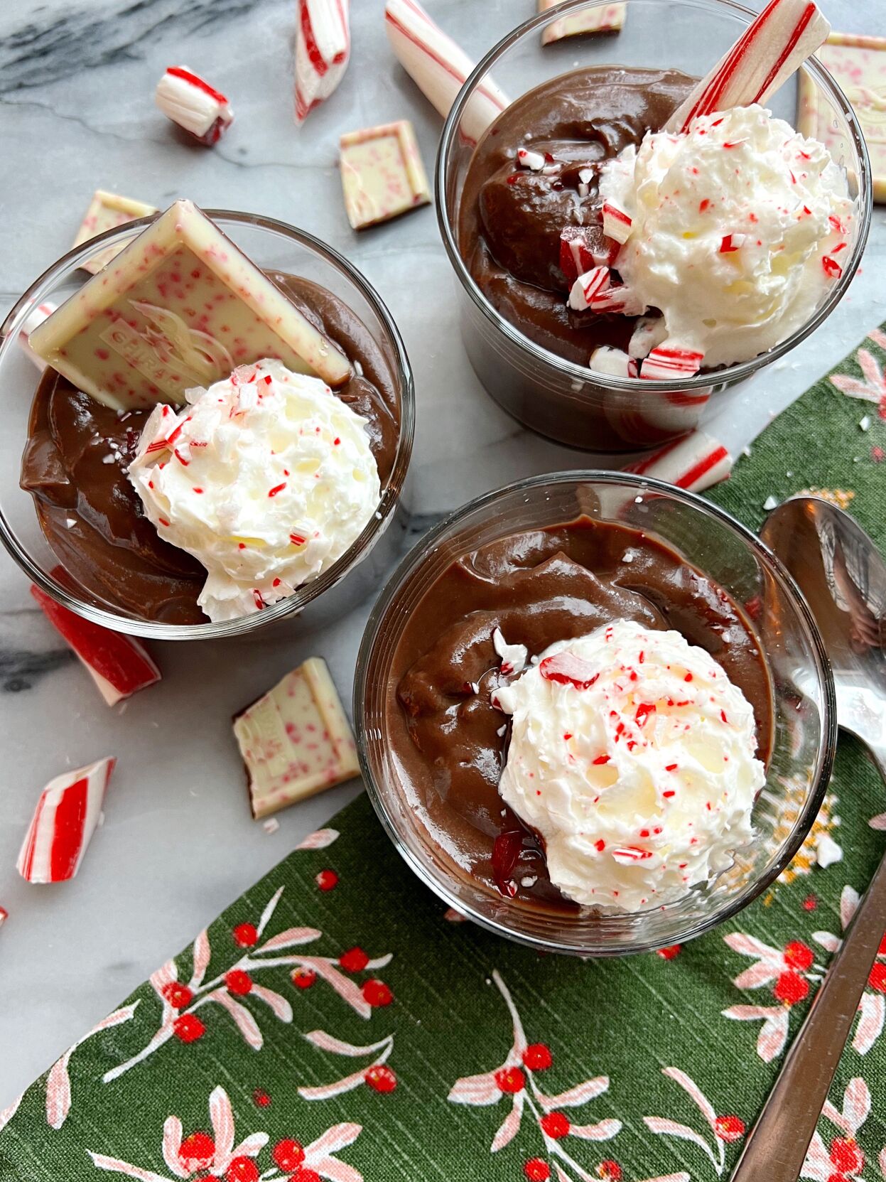 Salt and Stone Peppermint Mocha Pudding with Whipped Cream and