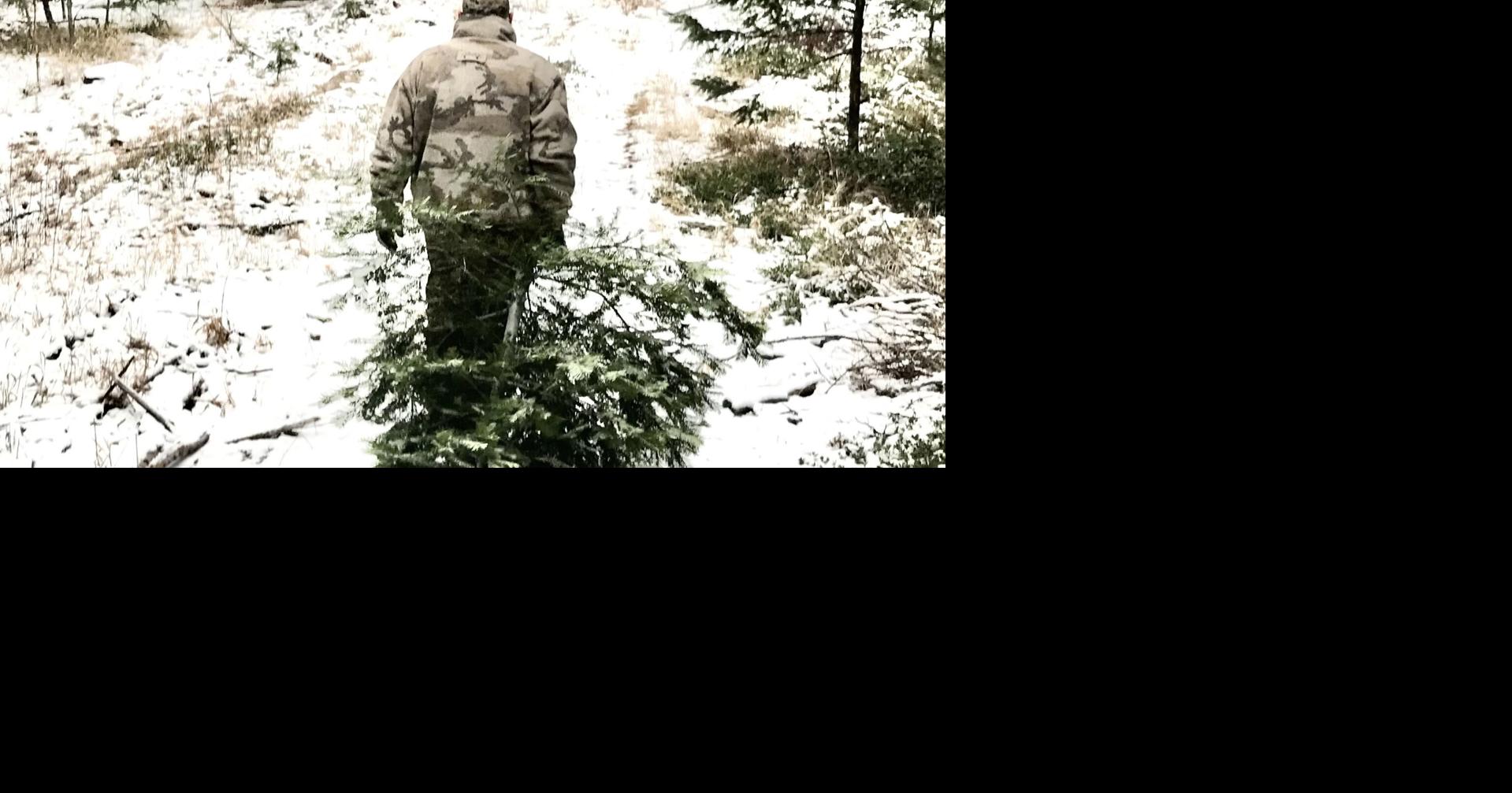 Rob Phillips Venturing out to find and cut your own Christmas tree