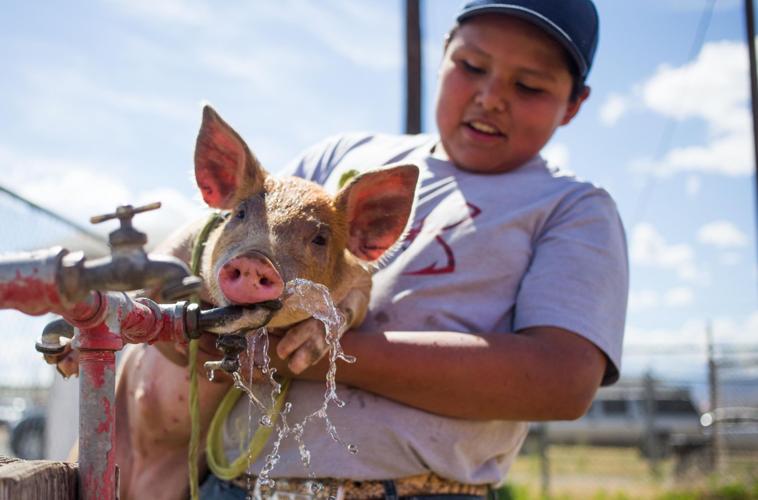 Yakima Rodeo Photos: Yakama Nation Treaty Day Rodeo | News Photos | yakimaherald.com