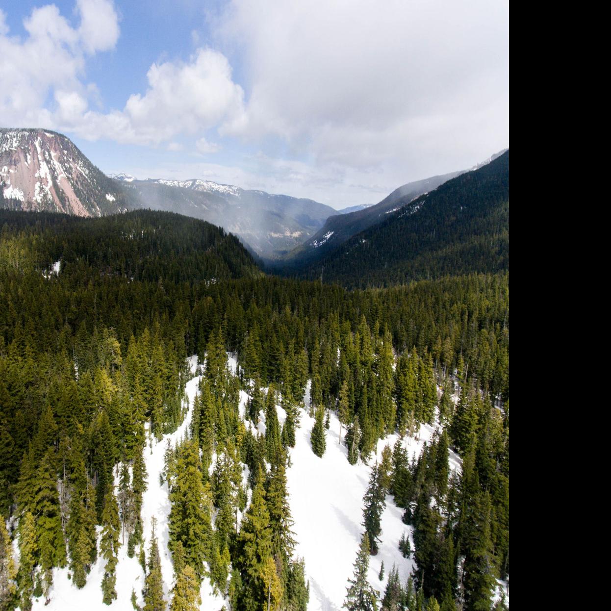 Searching For Closure Families Of Missing Hikers Looking For Answers Local Yakimaherald Com