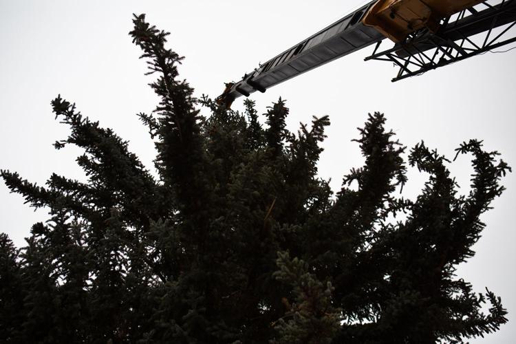 PHOTOS 2021 Yakima community Christmas tree Photos and Videos