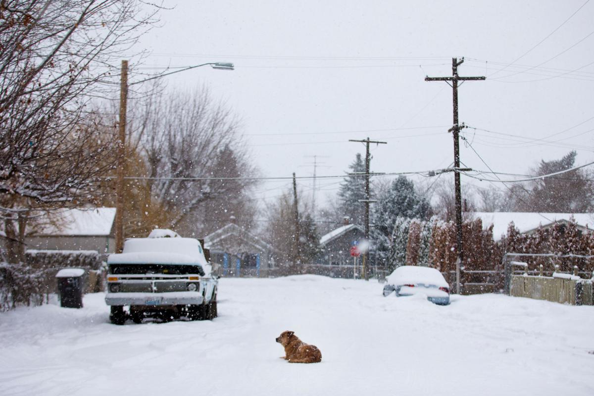 Snow hits Yakima Valley once again Local