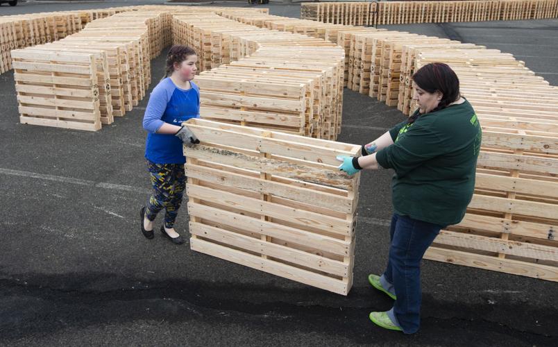 Volunteers in Yakima set world record for pallet dominoes Local