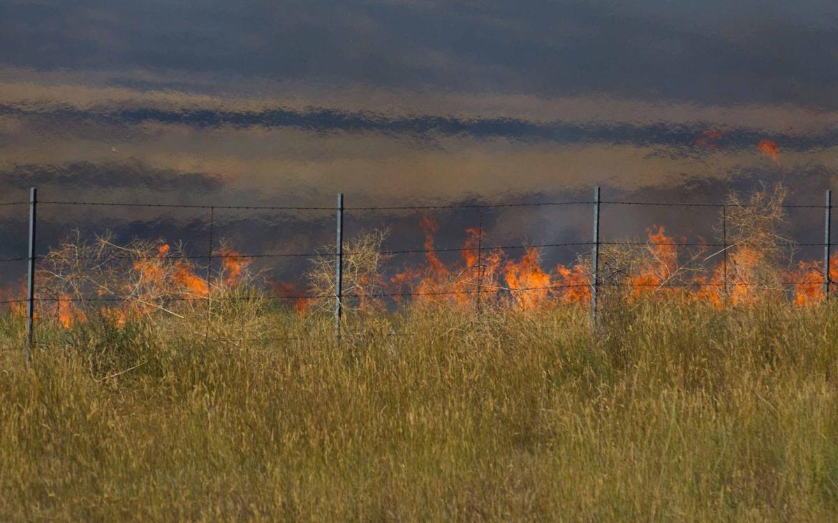 FireMoxee-YH-080116-3.jpg
