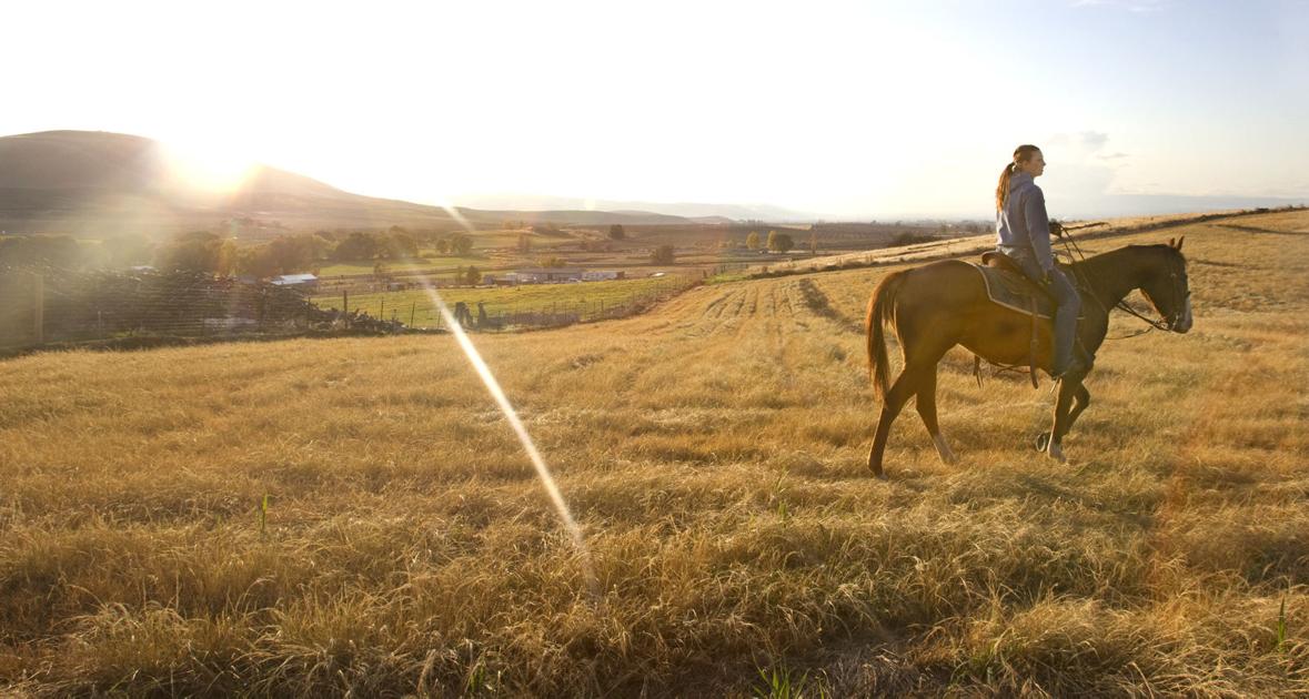 Horses are pieces of living history in the Yakima Valley