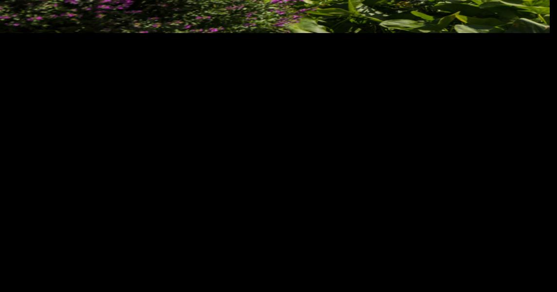 A day trip to Prosser Art, wine, alpacas and barbecue Arts And