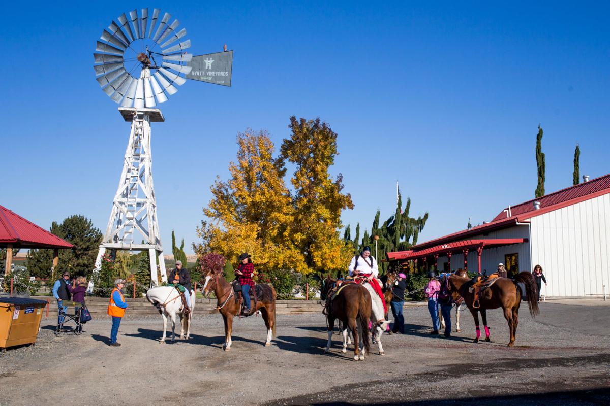 Photos Horseback winery ride in Zillah News Watch