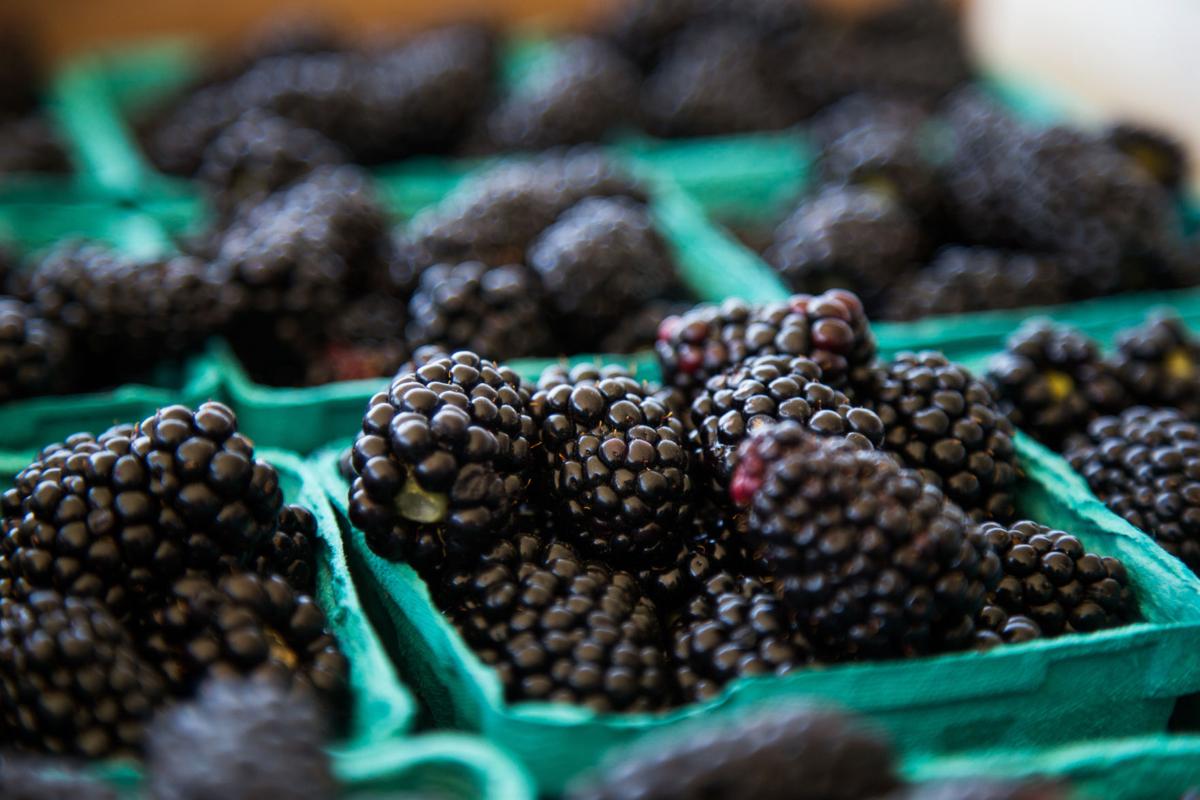 Resultado de imagen para blackberry fruit editorial