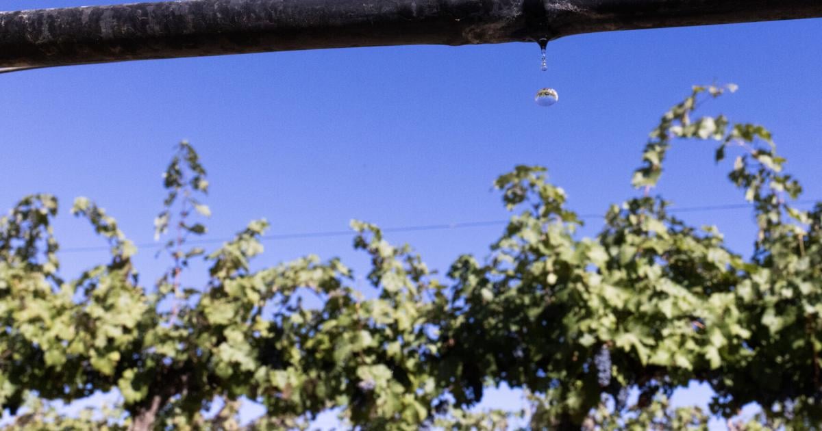 Northwest late summer days marred by historic drought, exacerbating wildfires