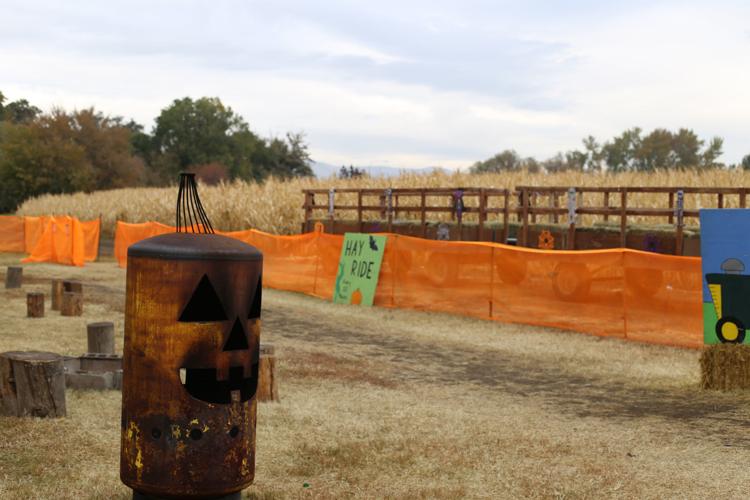 The Do's and Don’ts of the haunted corn maze Reviews