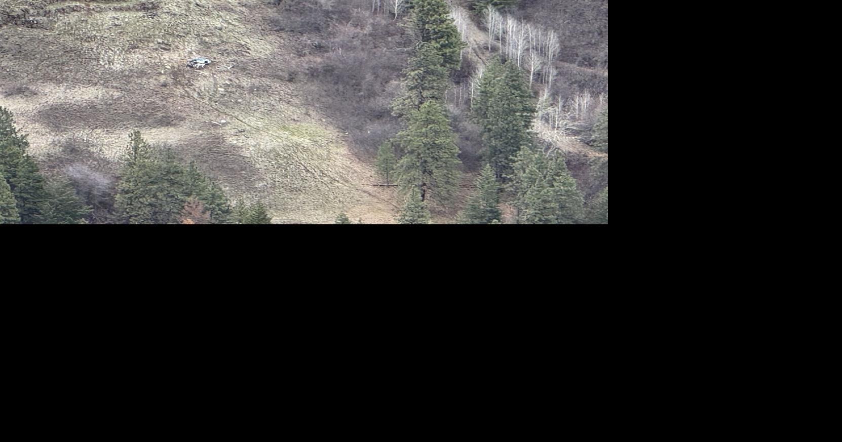 Name of pilot released in fatal Columbia County helicopter crash ...