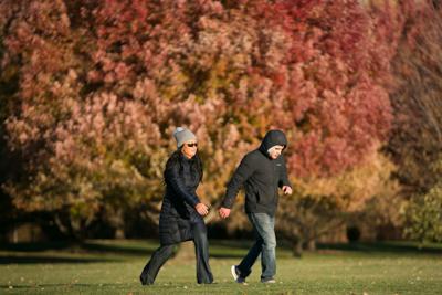 Yakima Area Arboretum Fall Activities Include Virtual Tour Plant Sale Nature Boxes For Kids Local Yakimaherald Com
