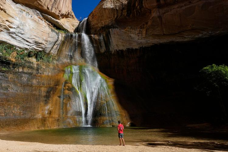 Trump Monuments Things to Know