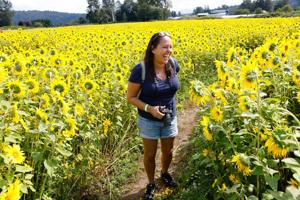 15 things to do around the Seattle area this weekend