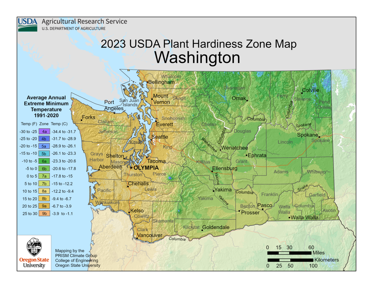 Barany in the Garden Gardening and the USDA plant hardiness zones