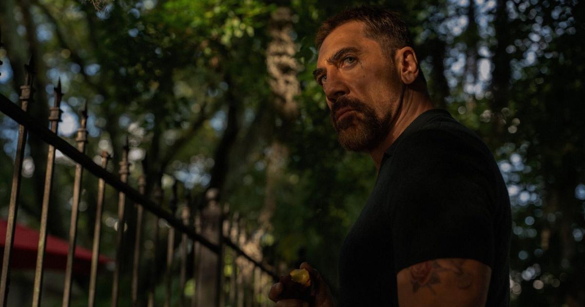 What to stream in June 2026: ‘Cape Fear,’ ‘Every Year After’