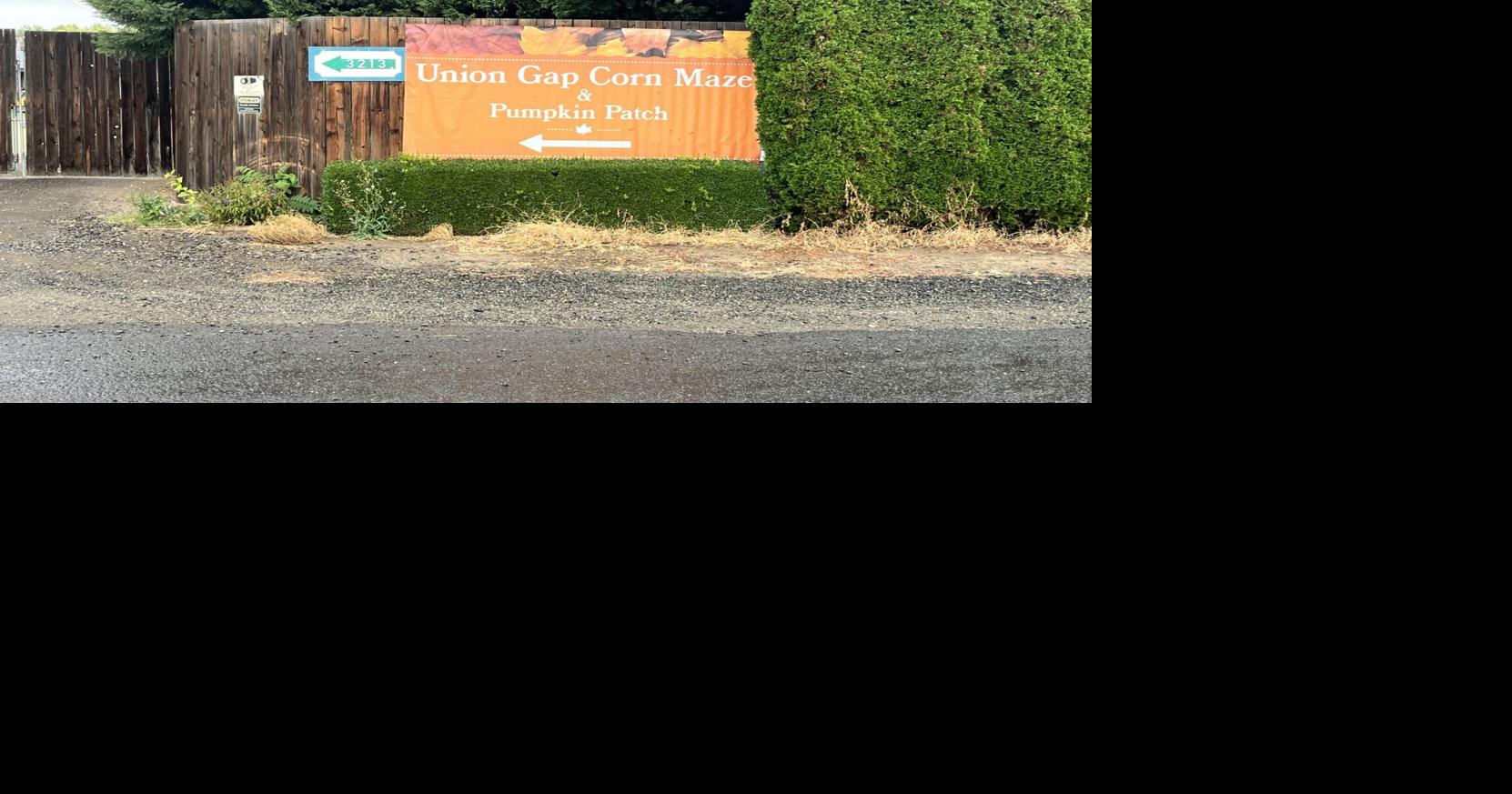 Amazeing adventures await in navigating Union Gap's haunted corn maze