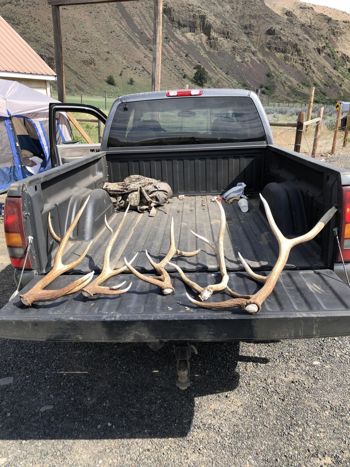 Growing Popularity Of Shed Hunting Brings Problems That Led To