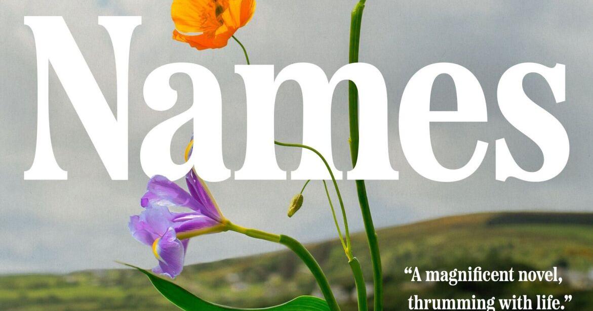 King County Library System staff share their favorite books of 2025