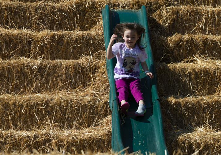 A look at family fall festivities in the Yakima Valley Explore Yakima