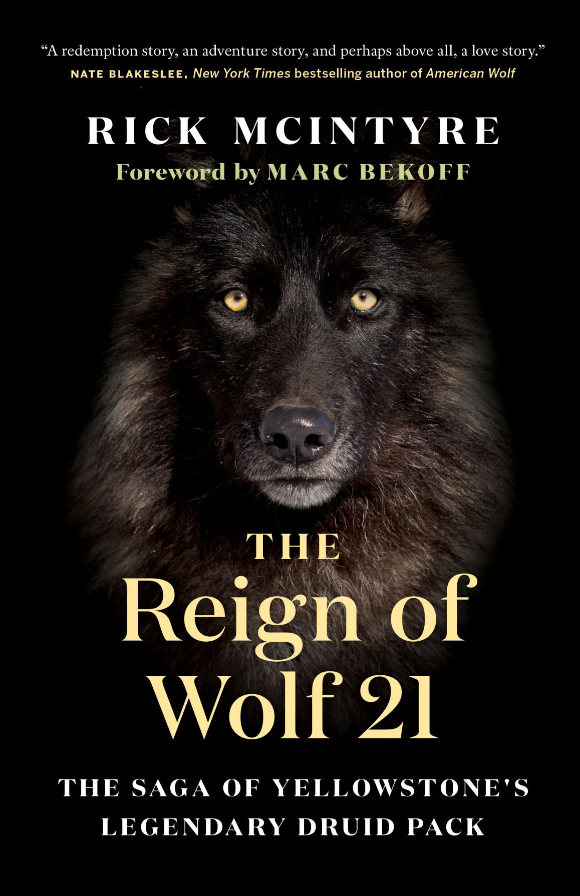 The Reign of Wolf 21 by Rick McIntyre