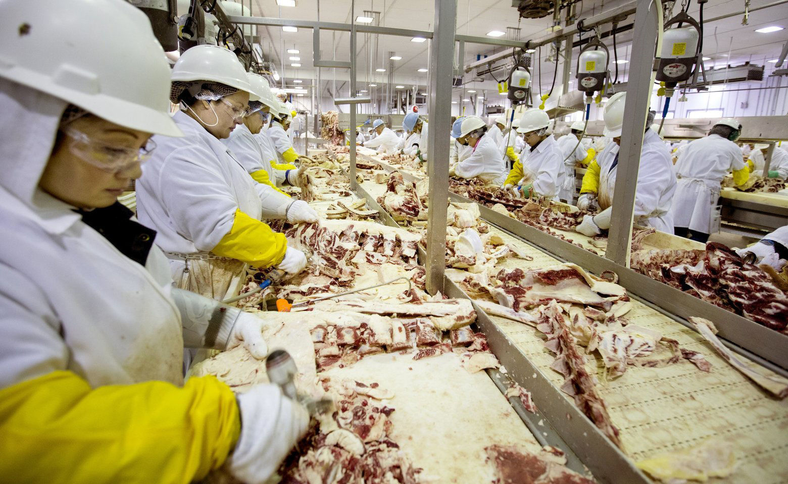 meat packers