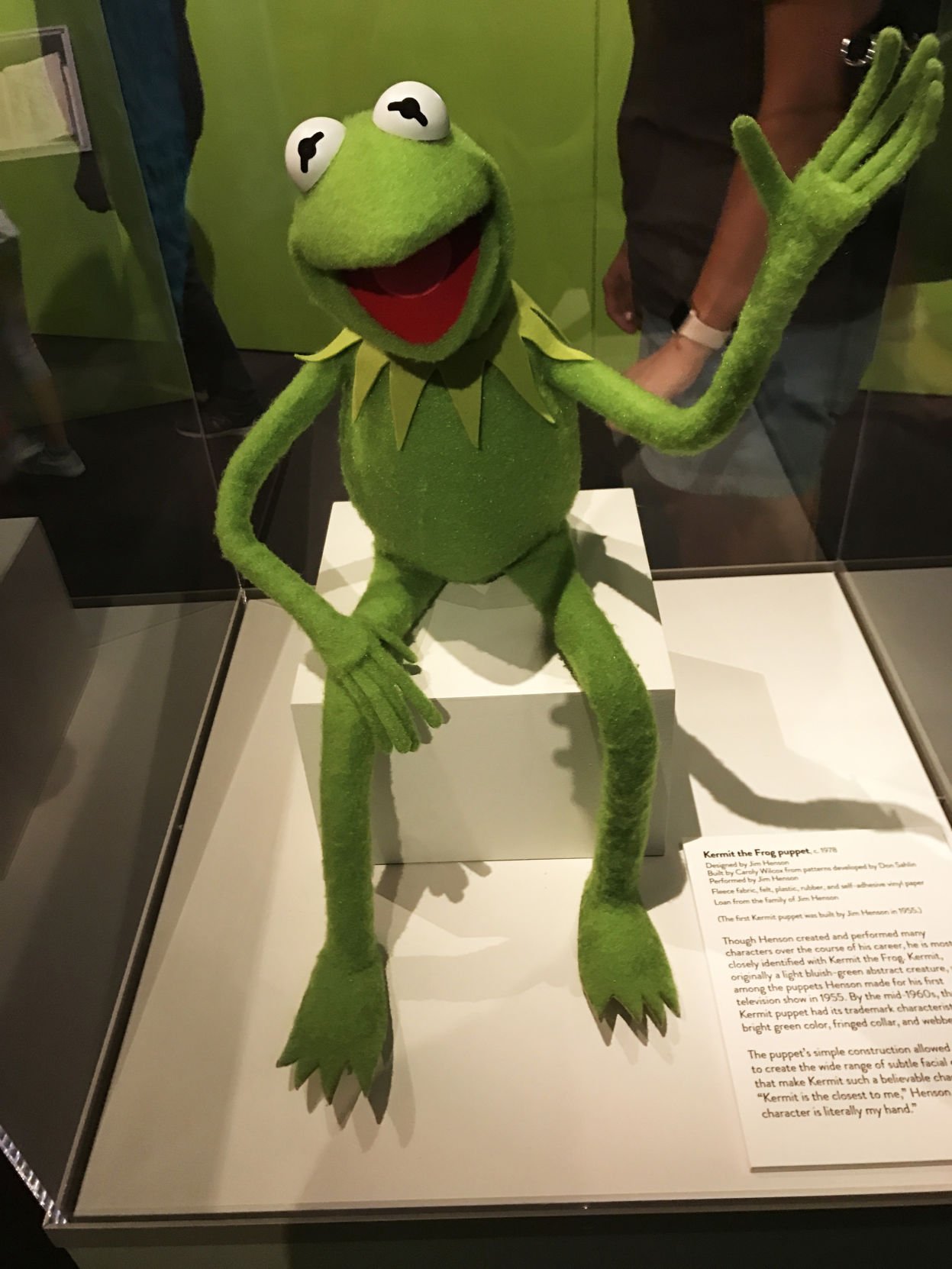 kermit the frog puppet near me