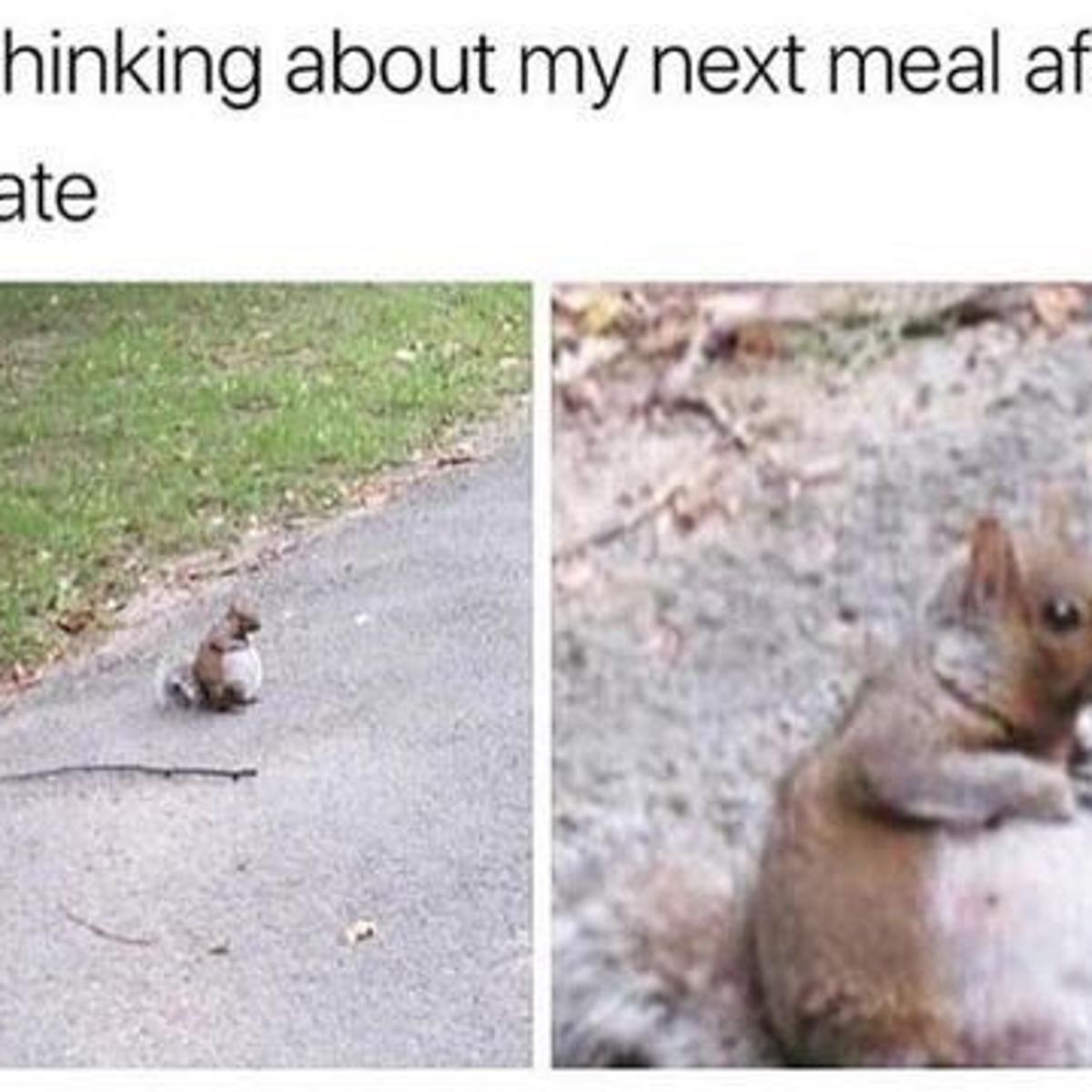 Editorial Sure Way To Lose Weight Cut Back On Memes Or
