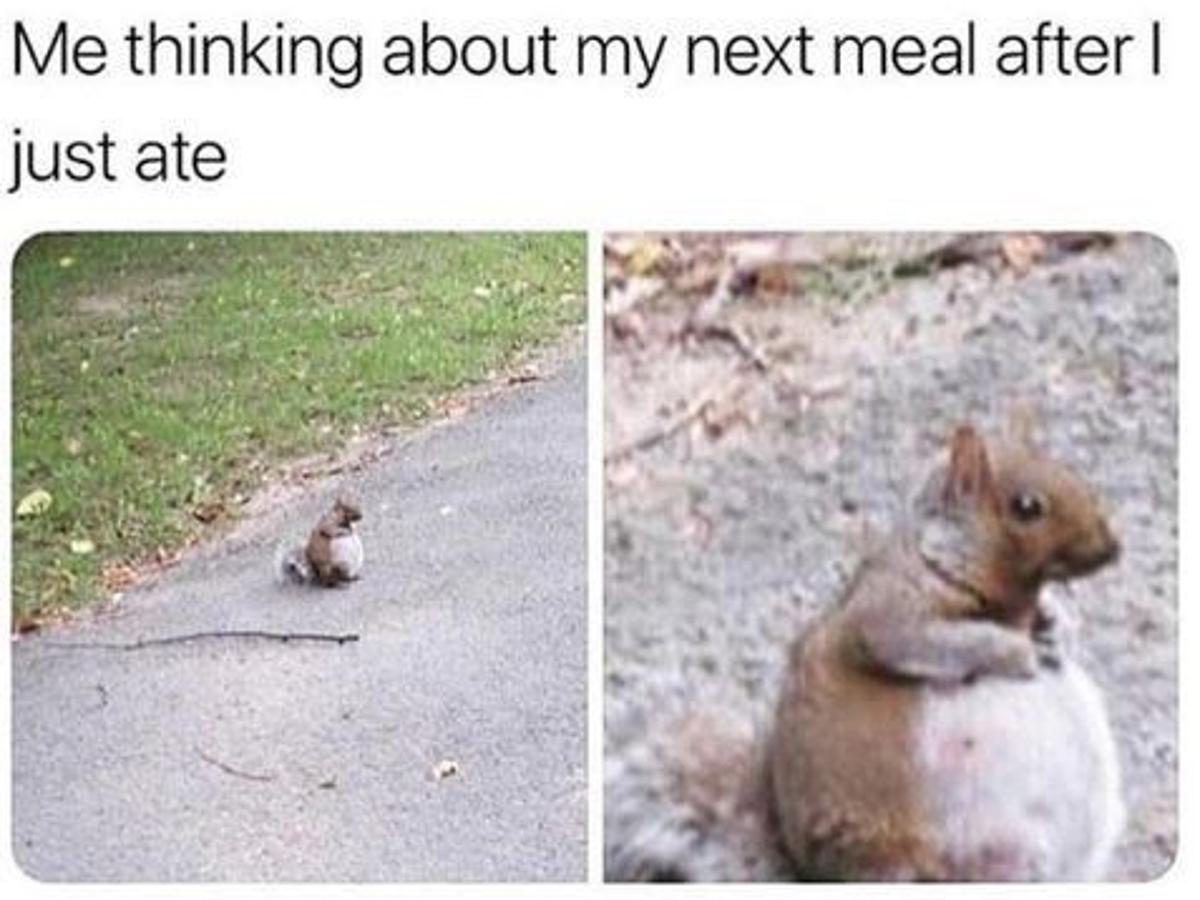 Editorial Sure Way To Lose Weight Cut Back On Memes Or