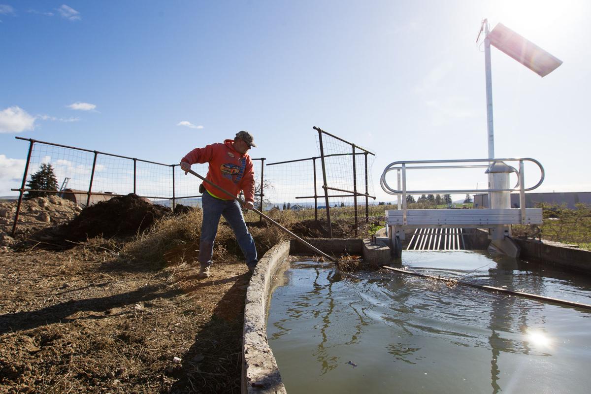 Ditch riders keep water flowing in Yakima Valley's irrigation systems