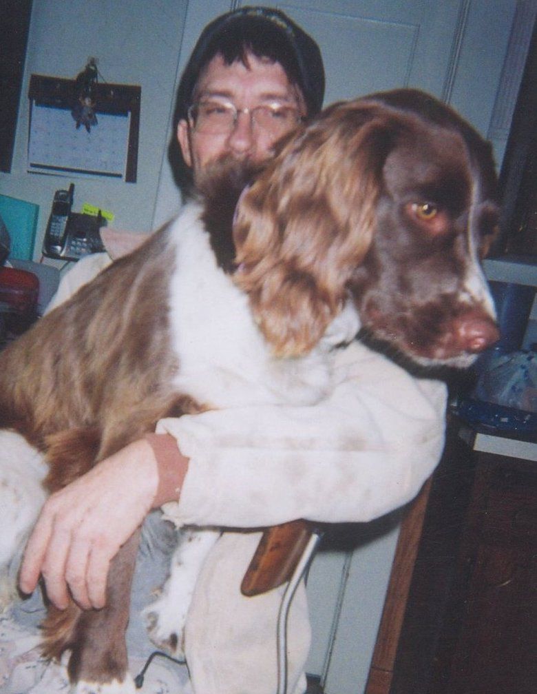 central valley springer spaniels