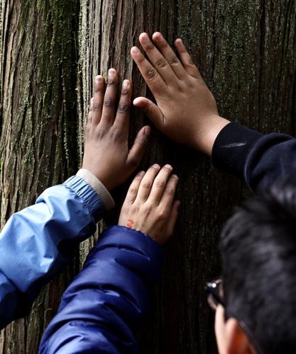 After cuts to Washington outdoor education, parents try to save class ...