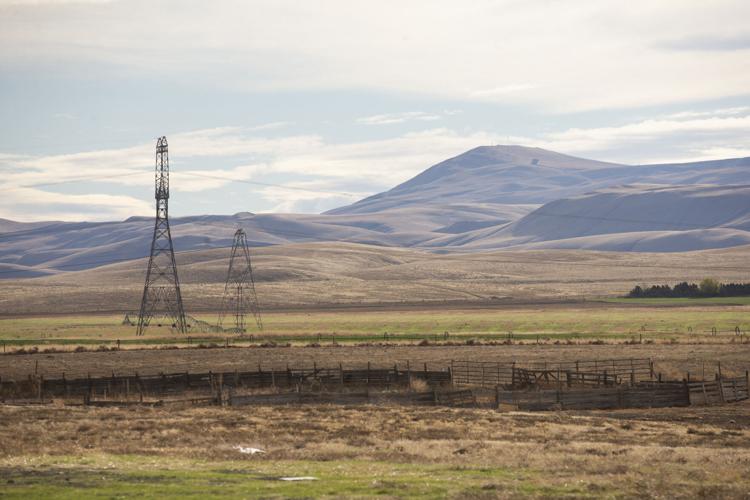 State agency approves expedited processing for Yakima County solar