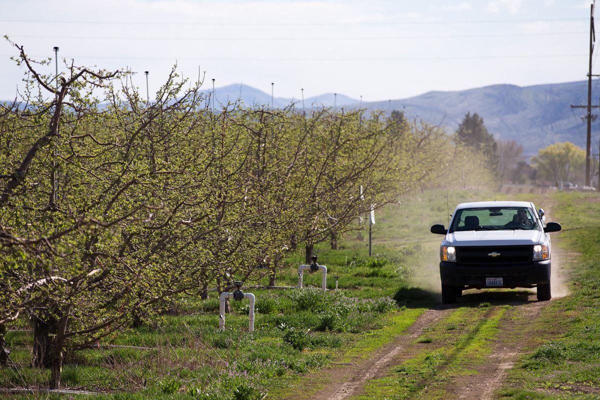 Ditch riders keep water flowing in Yakima Valley's irrigation systems