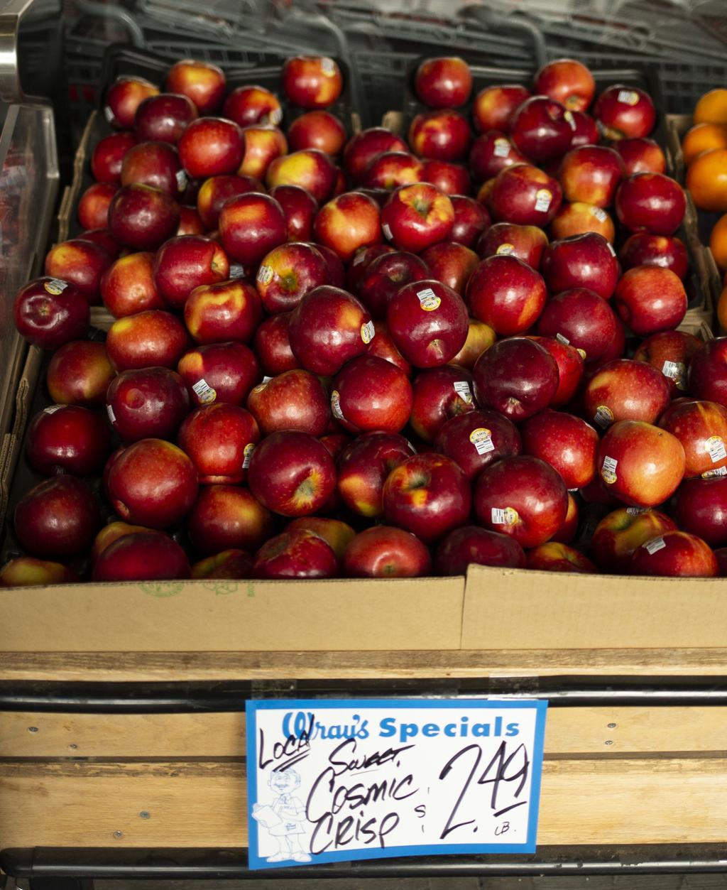 Cross-bred Cosmic Crisp apples can stay fresh for a whole year