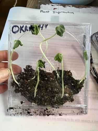 CD case mini-greenhouse