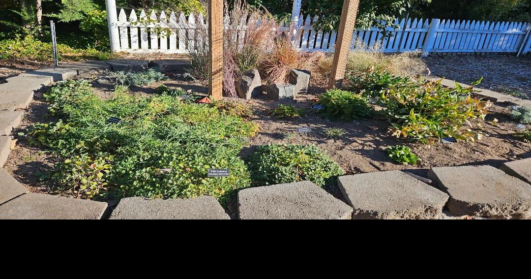 Yakima County Master Gardeners Heritage Gardens certified at Master