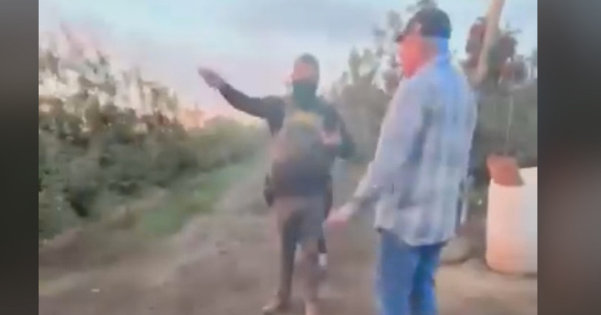 Seven farmworkers detained by ICE in Yakima orchard raid