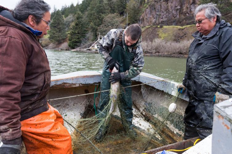 Tribal fishing a vital tradition on Valley rivers, Local