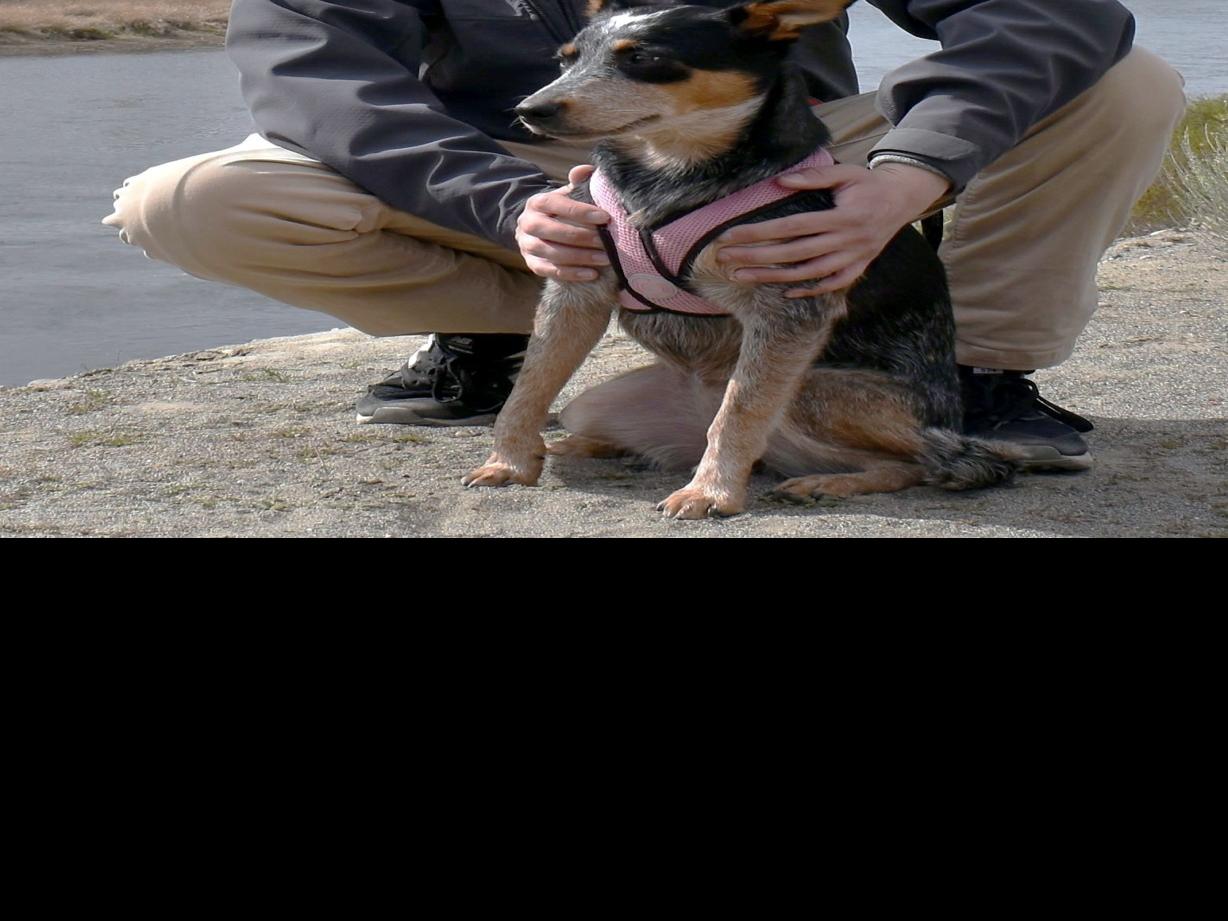 Panda Garden Takeout Delivery 27 Photos 24 Reviews American New 3210 Picard Pl Sunnyside Wa Restaurant Reviews Phone Number Yelp