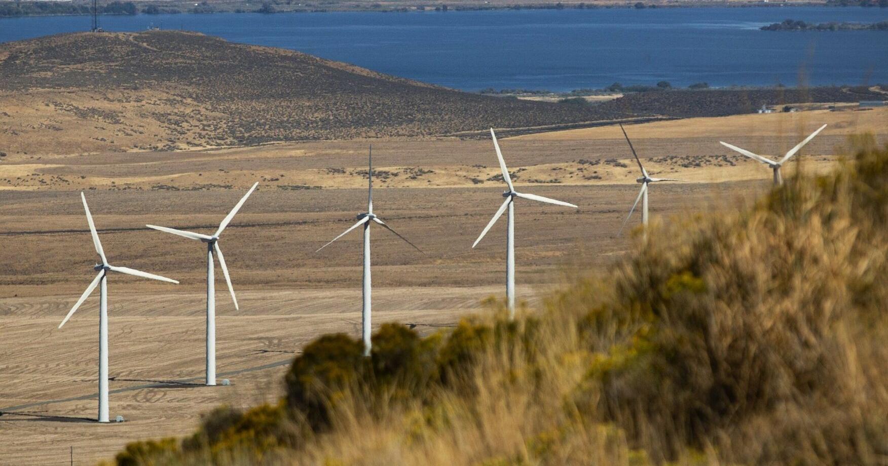 Plans for WA's largest wind farm near Tri-Cities slashed in half - Vimarsana News
