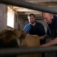 TV vet Dr. Pol coming to Central Washington State Fair in Yakima