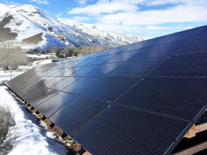 Raisin’ in the Sun: Wine Grapes & Solar Power