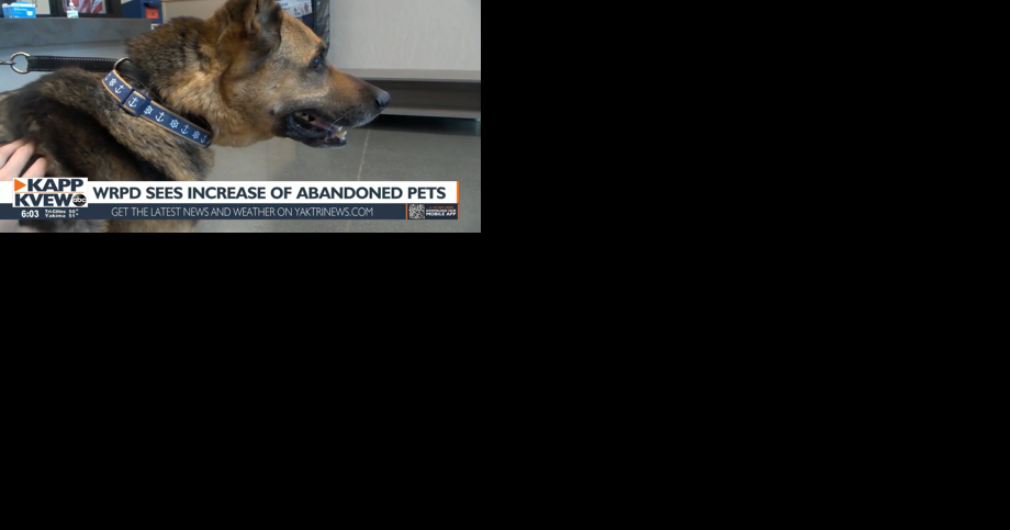"I've charged it before," WRPD Animal and Code Compliance Officer sees increase in pet abandonment - Vimarsana News