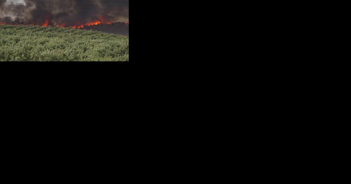 Walla Walla County fighting massive wildfire | Local News - Vimarsana News