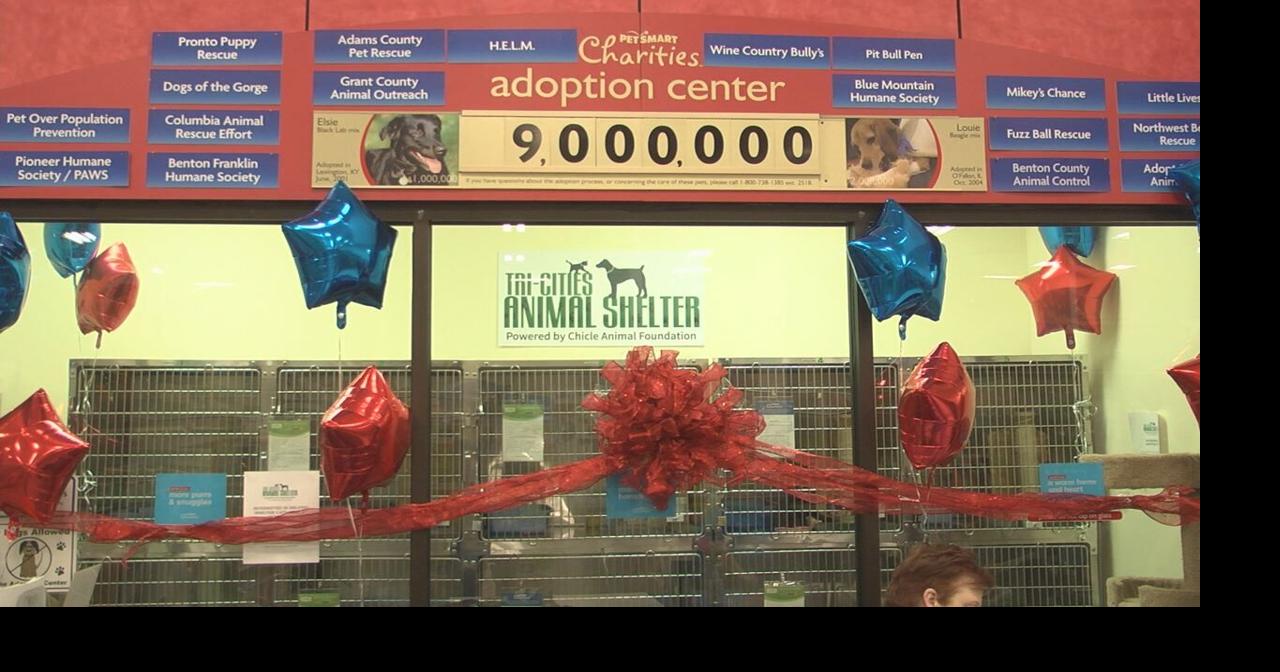 Kennewick PetSmart opens cat adoption center with TriCities Animal